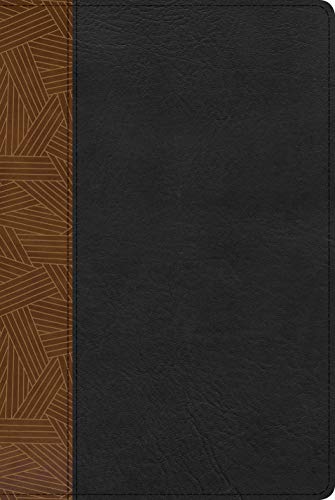 Reina Valera 1960 Biblia de Estudio Arcoiris, tostado/negro símil piel/ Rainbow Study Bible RVR 1960 Tan/black LeatherTouch (Spanish Edition)