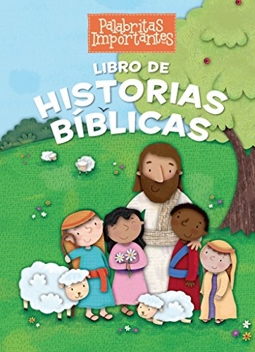 Libro de Historias Bíblicas (Palabritas importantes)