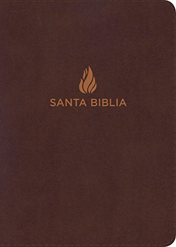 NVI Biblia Letra Gigante, con índice