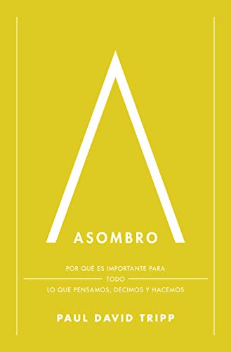 Asombro: Por qué es importante para todo lo que pensamos, decimos y hacemos (Spanish Edition)